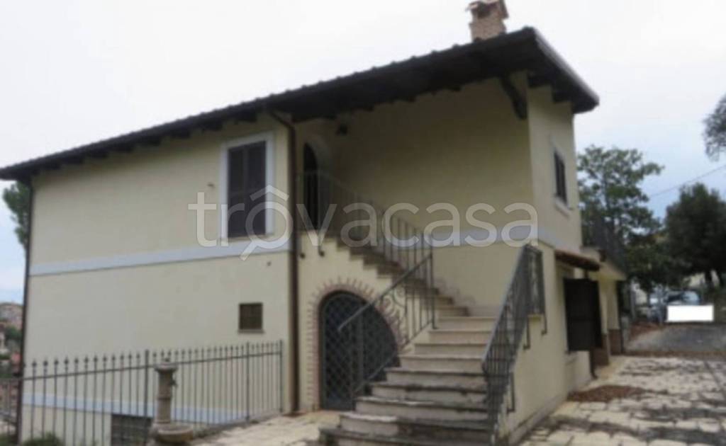 immagine annuncio 11 di 14