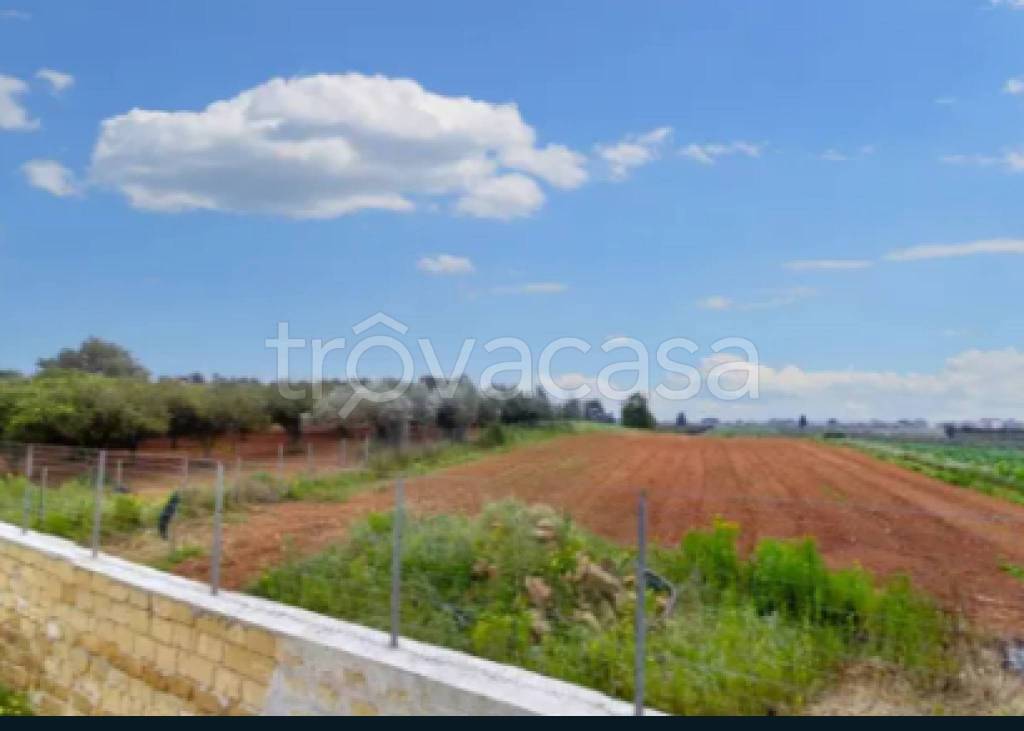 immagine annuncio 6 di 11