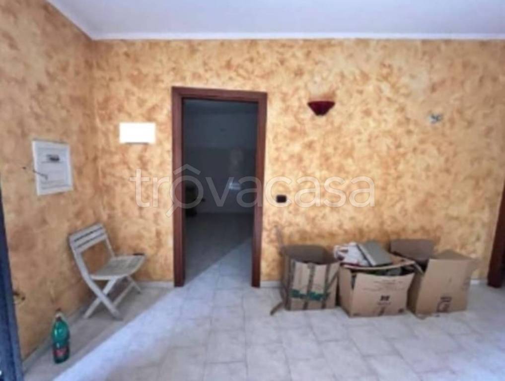 immagine annuncio 9 di 14