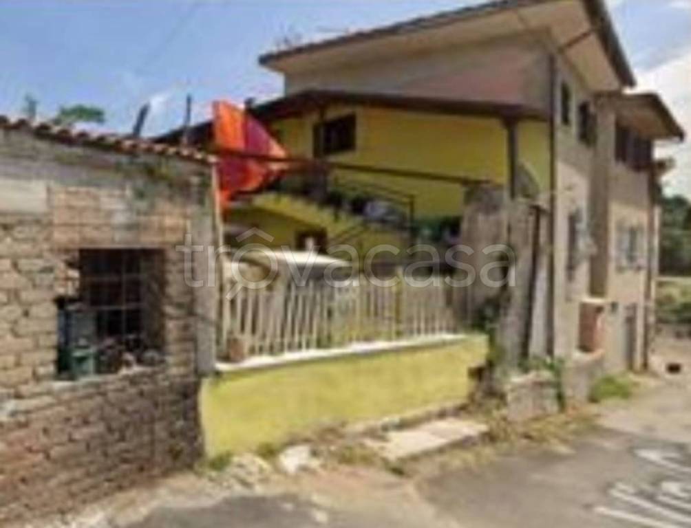 immagine annuncio 11 di 14