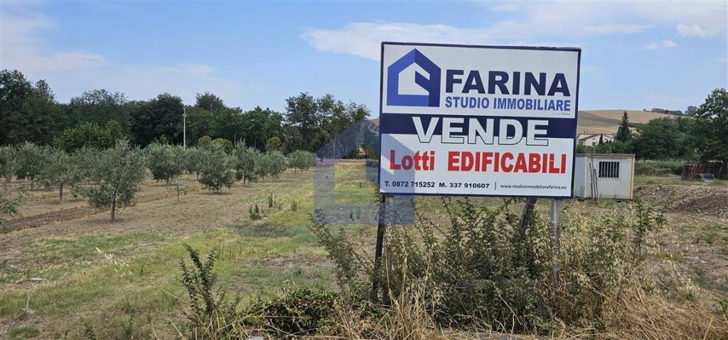 immagine annuncio 2 di 11
