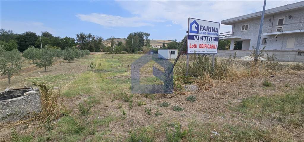immagine annuncio 6 di 11