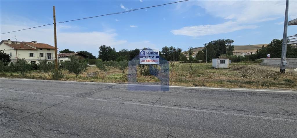 immagine annuncio 8 di 11