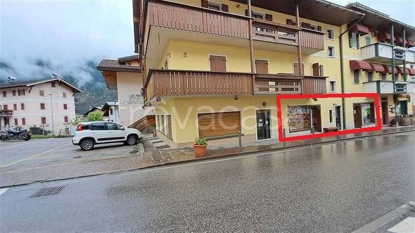 immagine annuncio 10 di 12