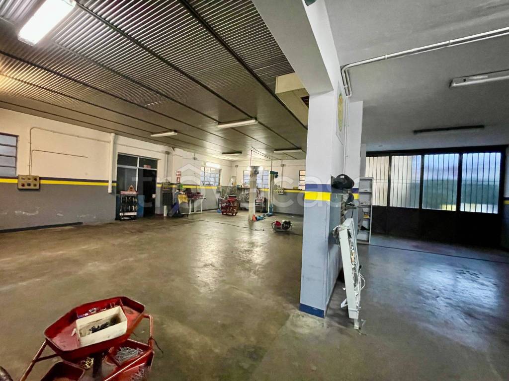 immagine annuncio 2 di 15