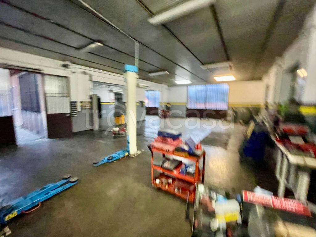 immagine annuncio 5 di 15