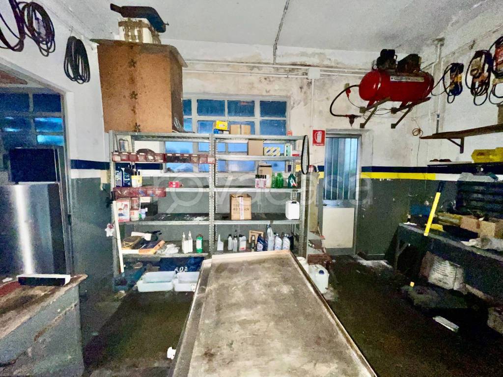 immagine annuncio 7 di 15