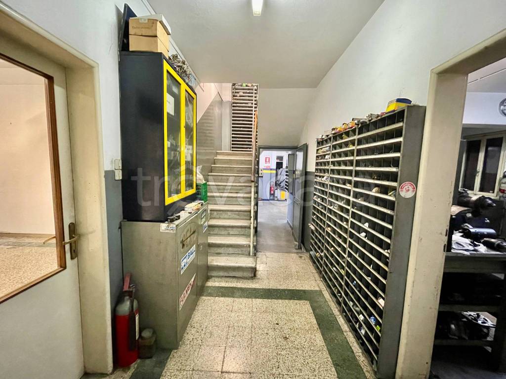 immagine annuncio 11 di 15