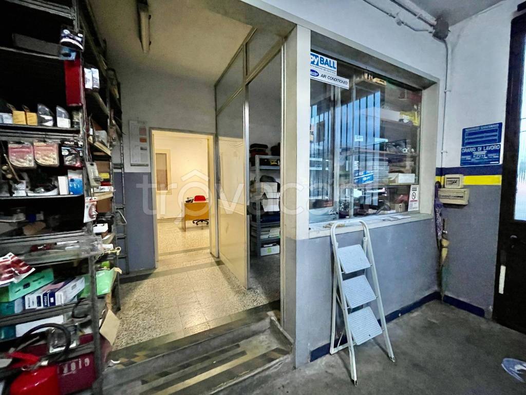 immagine annuncio 12 di 15