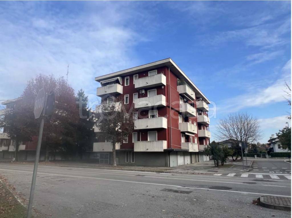 immagine annuncio 3 di 15