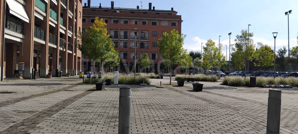 immagine annuncio 11 di 12