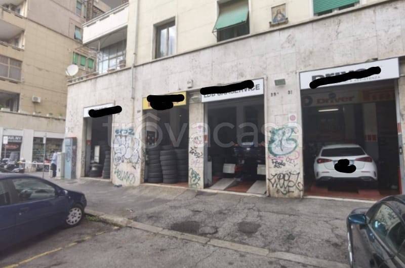 immagine annuncio 3 di 8