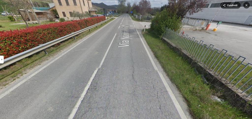 immagine annuncio 6 di 9