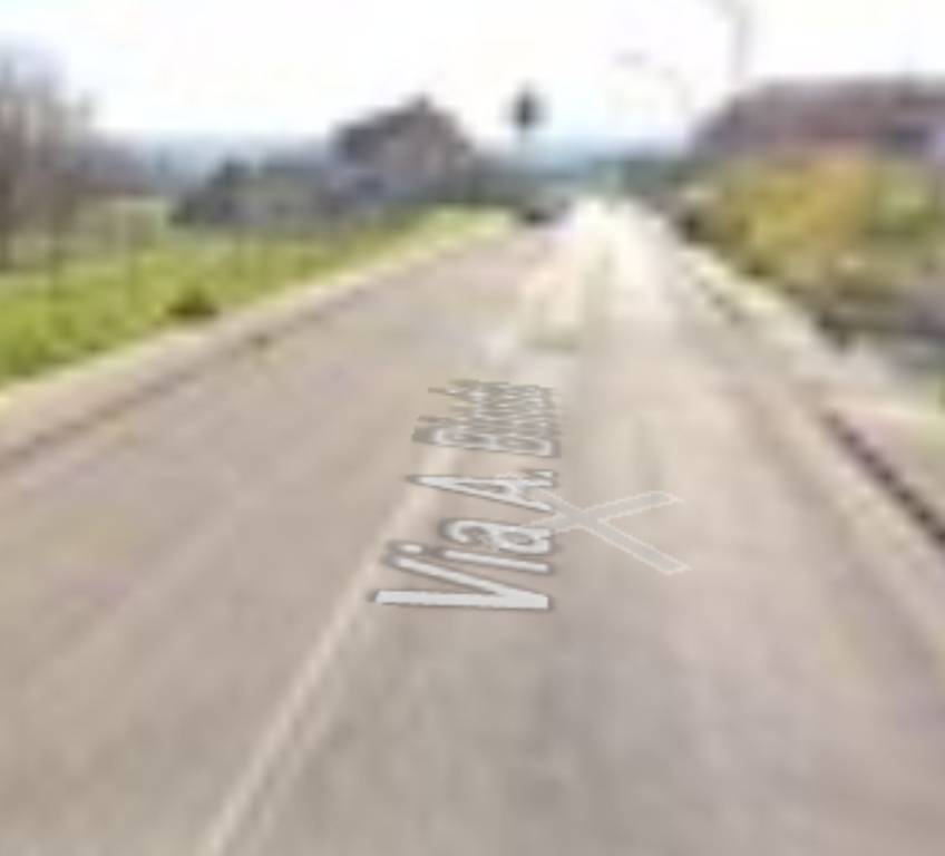 immagine annuncio 3 di 11
