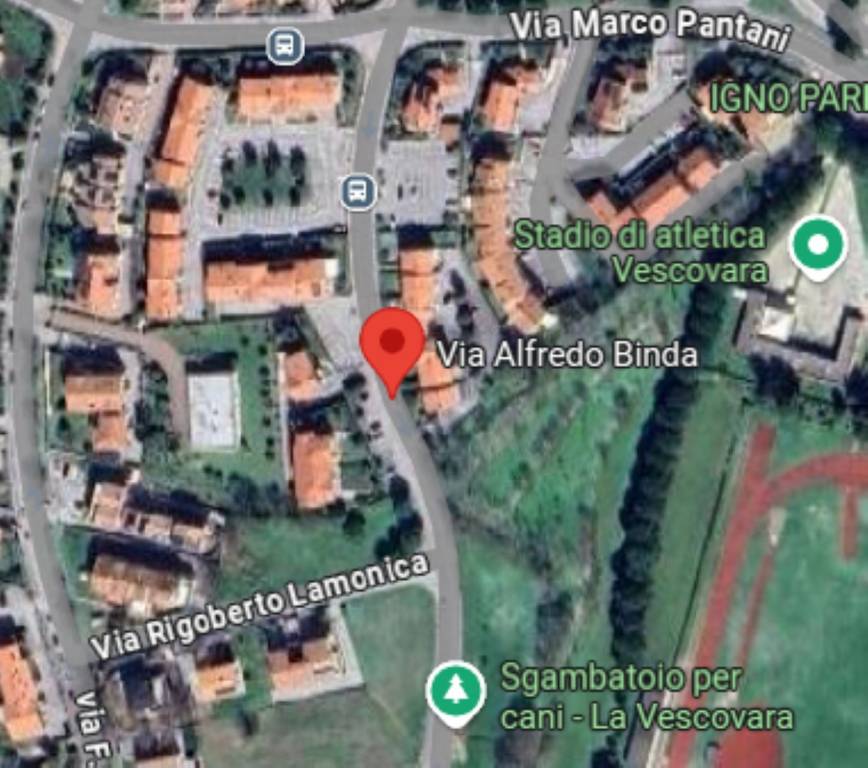 immagine annuncio 2 di 11