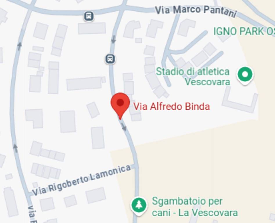immagine annuncio 4 di 11