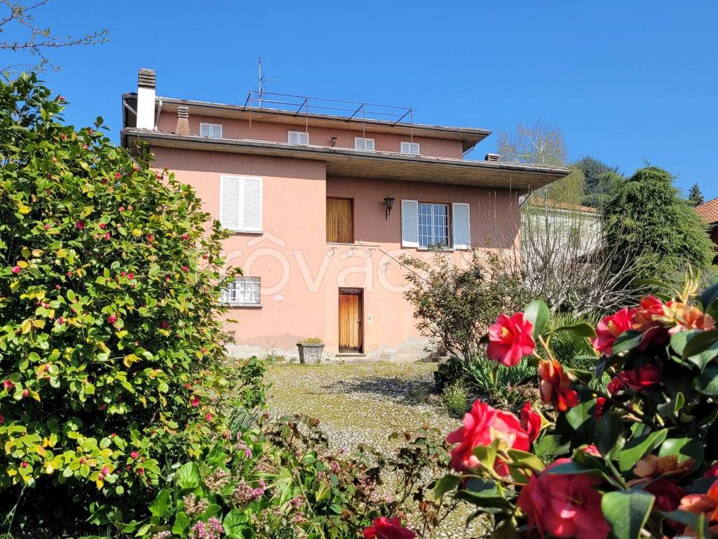 immagine annuncio 9 di 12