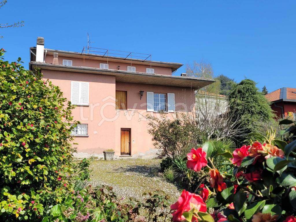 immagine annuncio 11 di 12