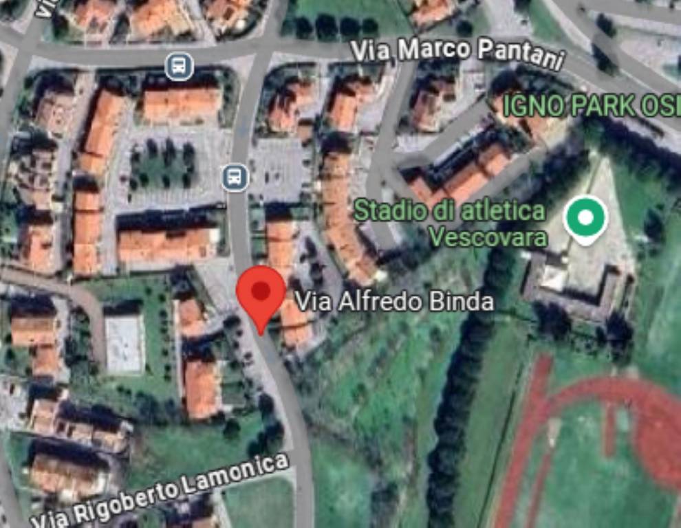 immagine annuncio 10 di 11