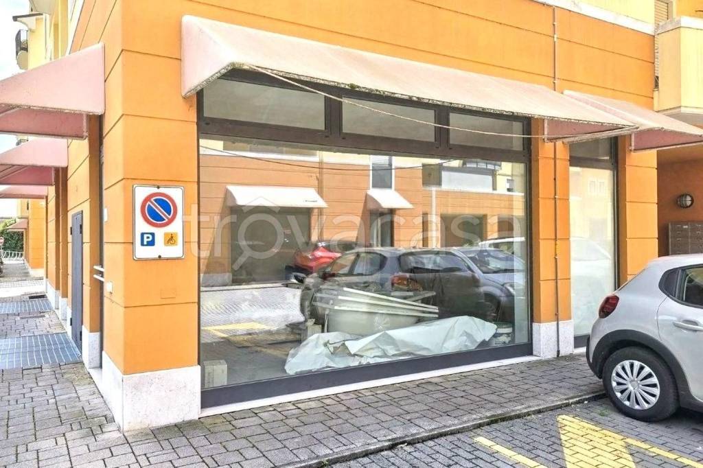 immagine annuncio 1 di 13