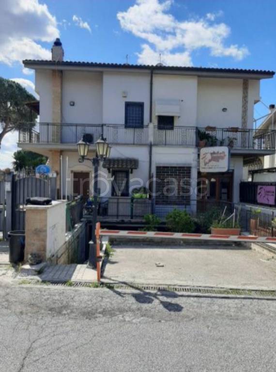 immagine annuncio 2 di 13