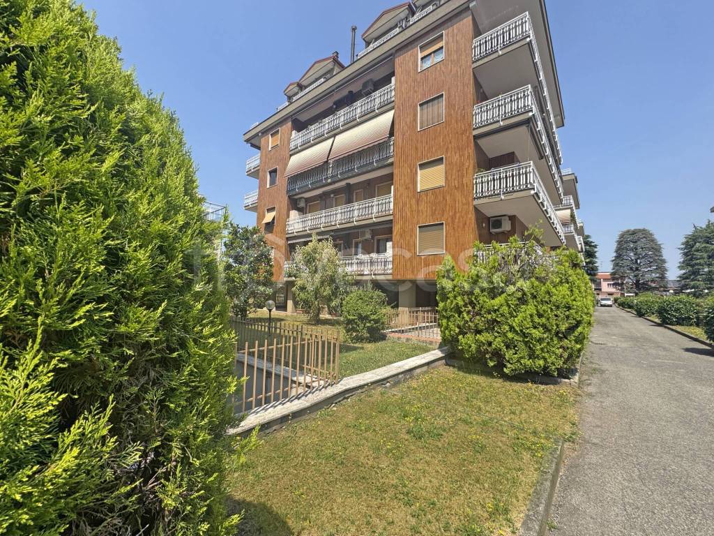immagine annuncio 6 di 15