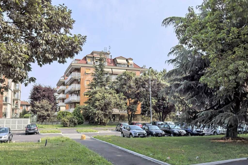 immagine annuncio 1 di 15