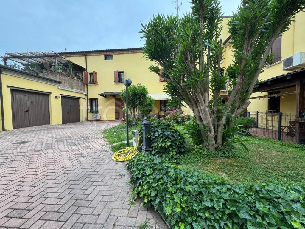 immagine annuncio 6 di 15