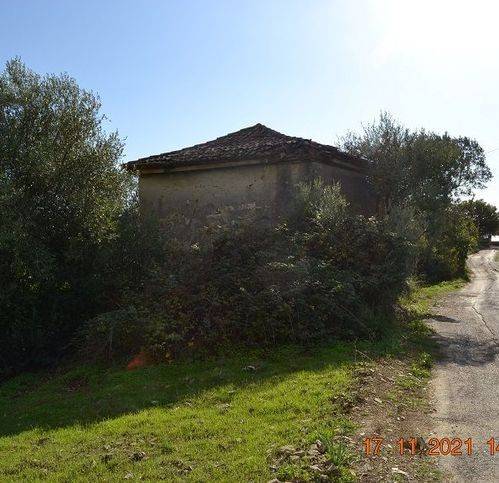 immagine annuncio 11 di 13