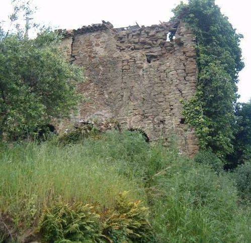 immagine annuncio 5 di 6