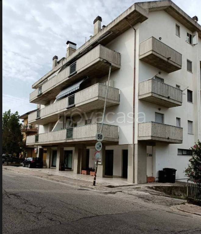 immagine annuncio 10 di 12