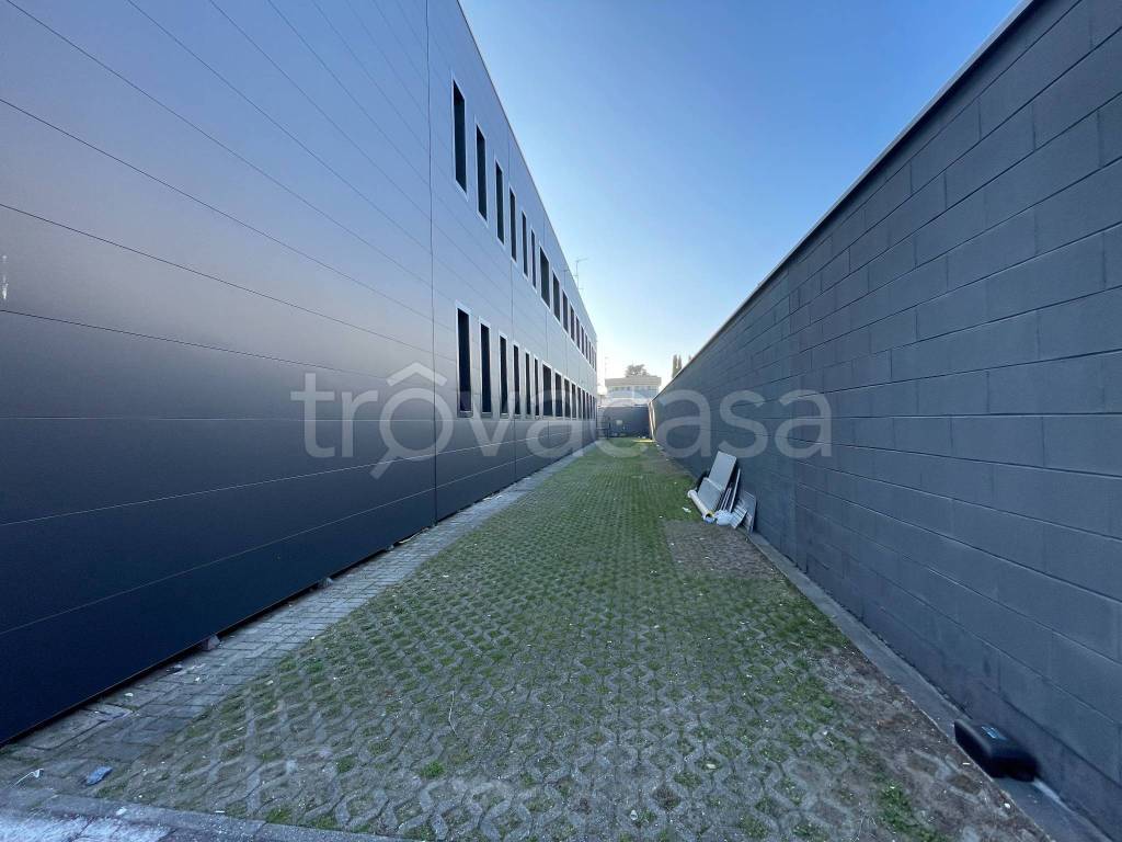 immagine annuncio 9 di 15