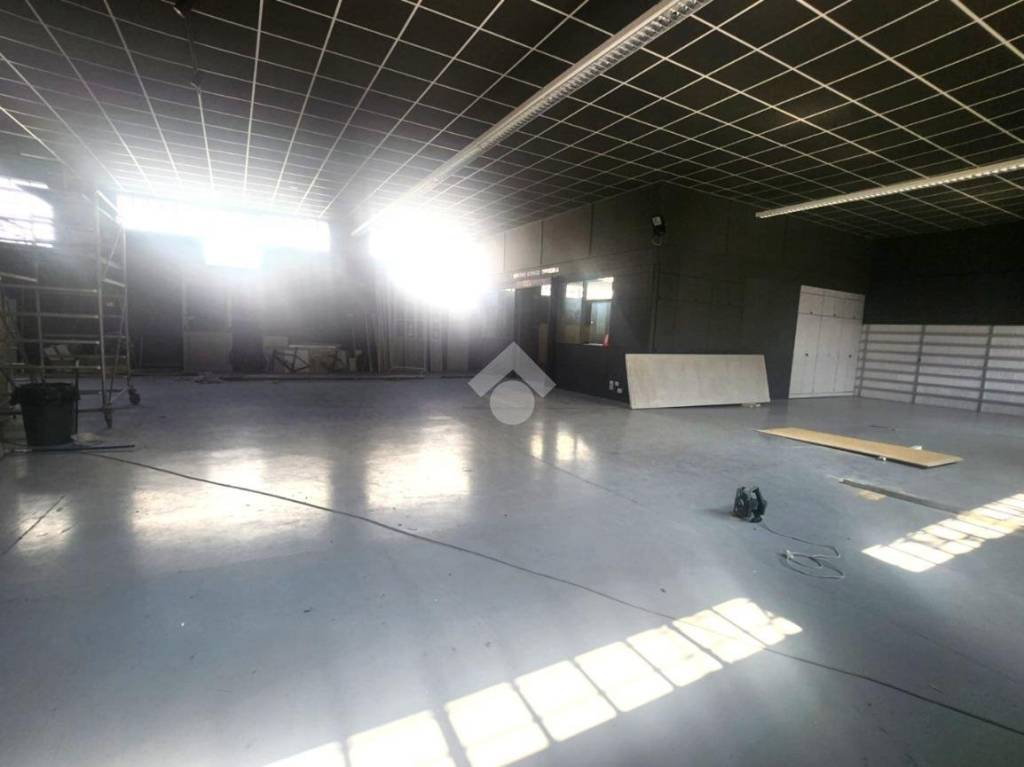 immagine annuncio 3 di 6