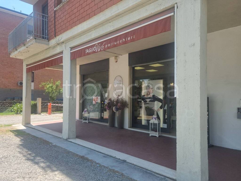 immagine annuncio 4 di 7