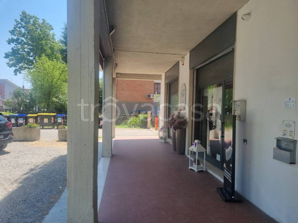immagine annuncio 5 di 7