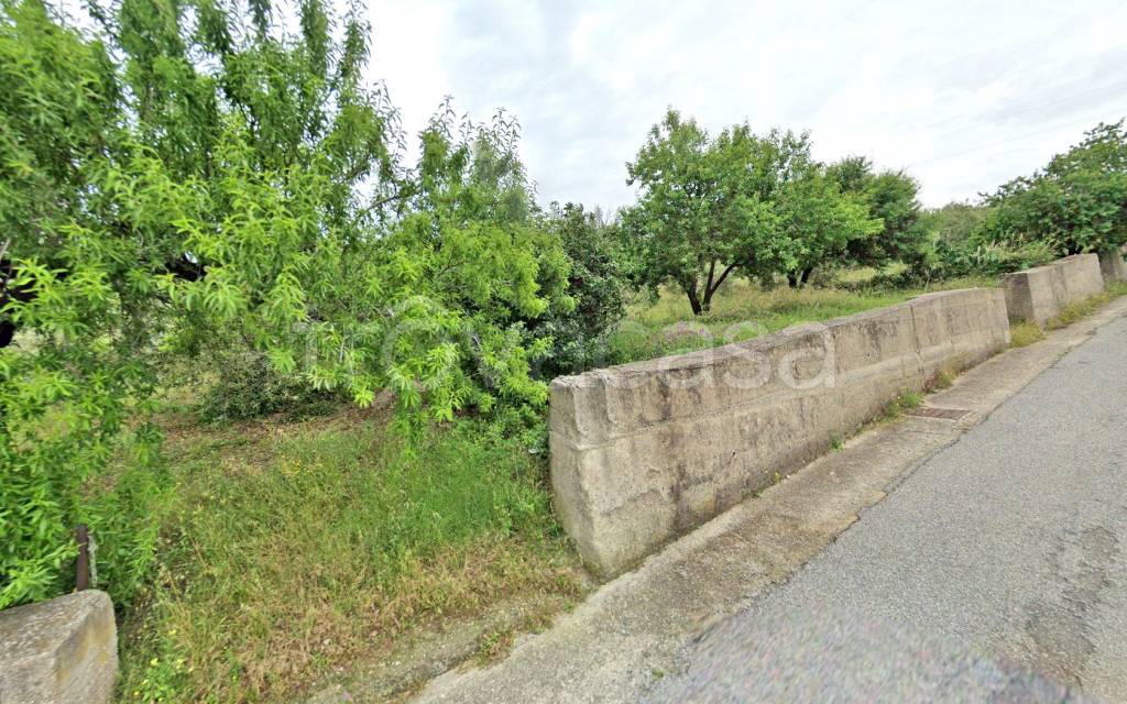 immagine annuncio 2 di 6