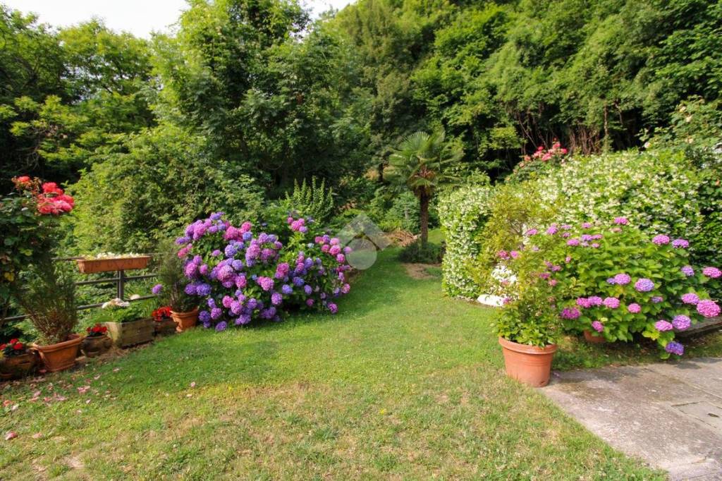immagine annuncio 3 di 9