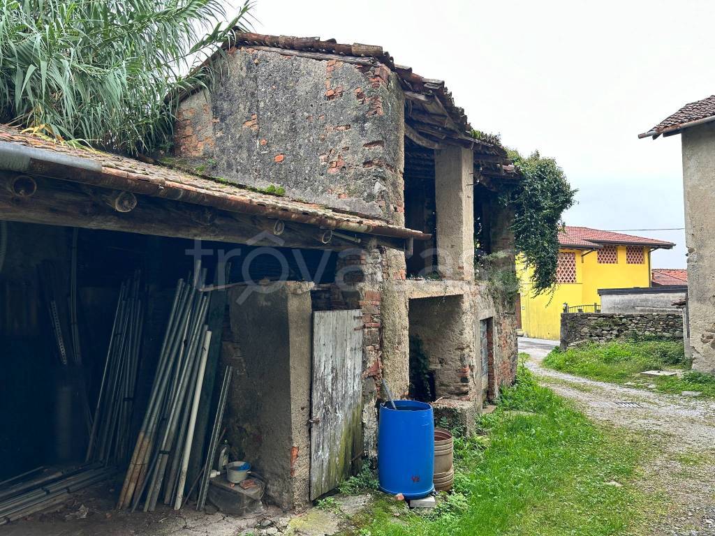 immagine annuncio 4 di 8