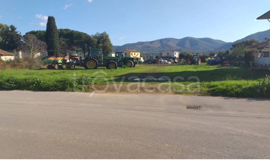 immagine annuncio 2 di 11