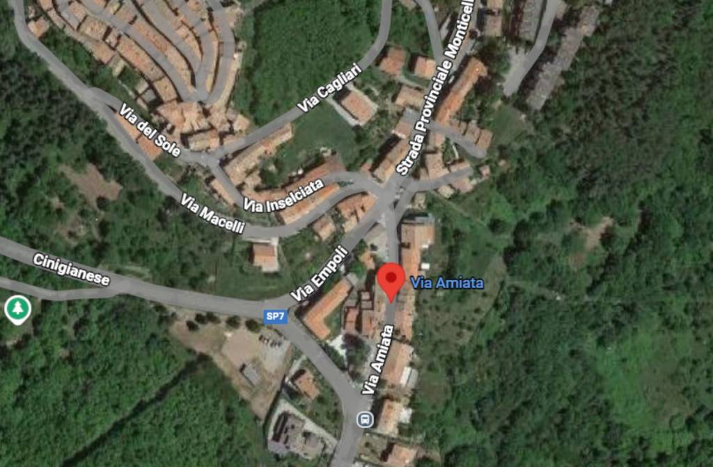 immagine annuncio 11 di 13
