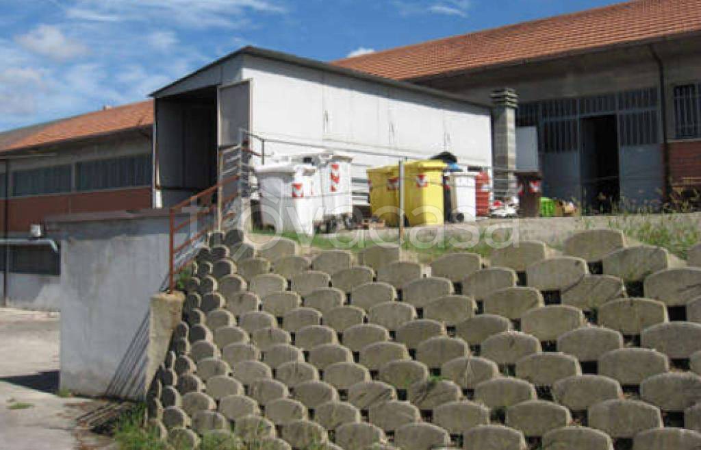 immagine annuncio 3 di 12
