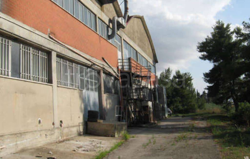 immagine annuncio 6 di 12