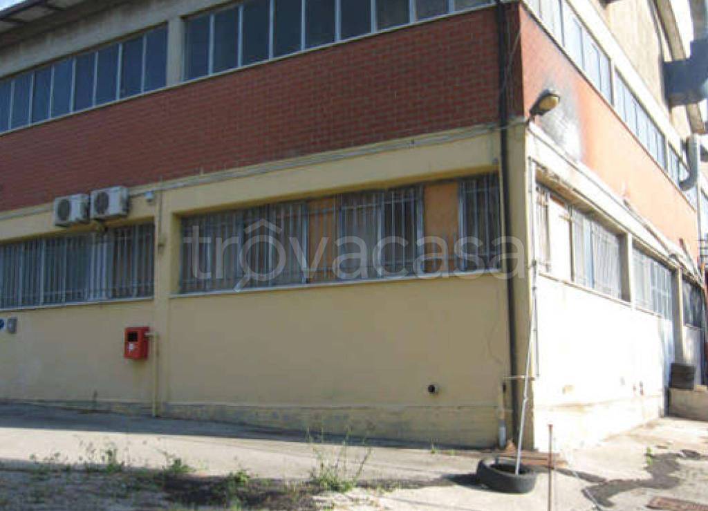 immagine annuncio 9 di 12