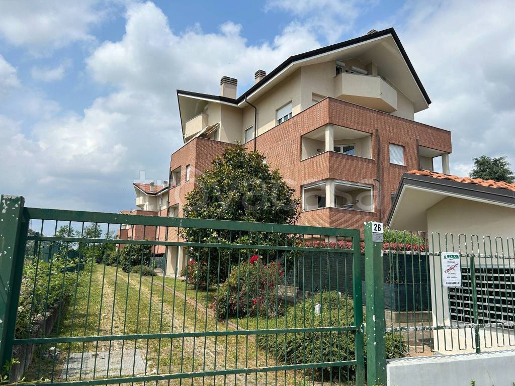 immagine annuncio 7 di 15