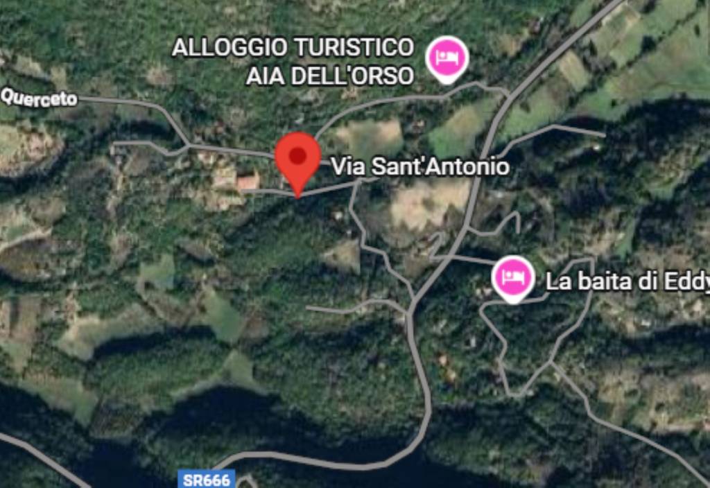immagine annuncio 9 di 13