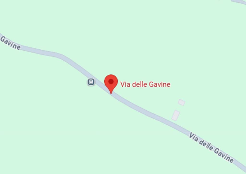 immagine annuncio 9 di 12