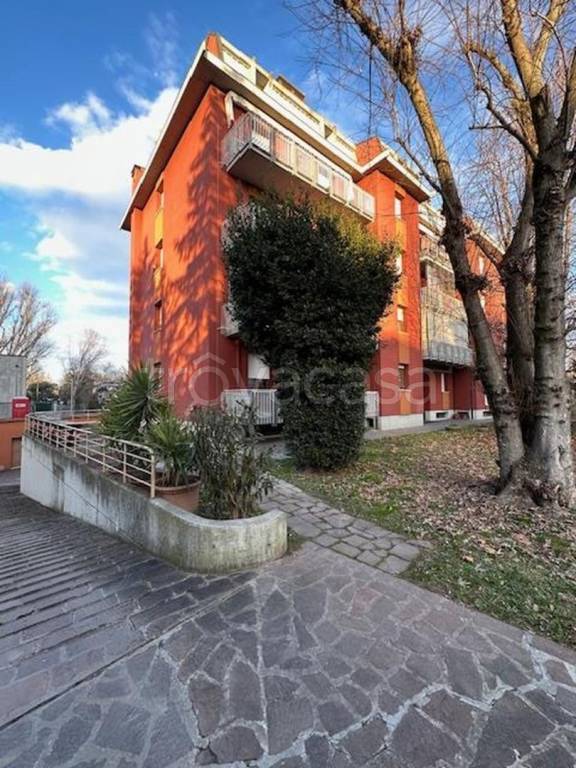 immagine annuncio 5 di 15