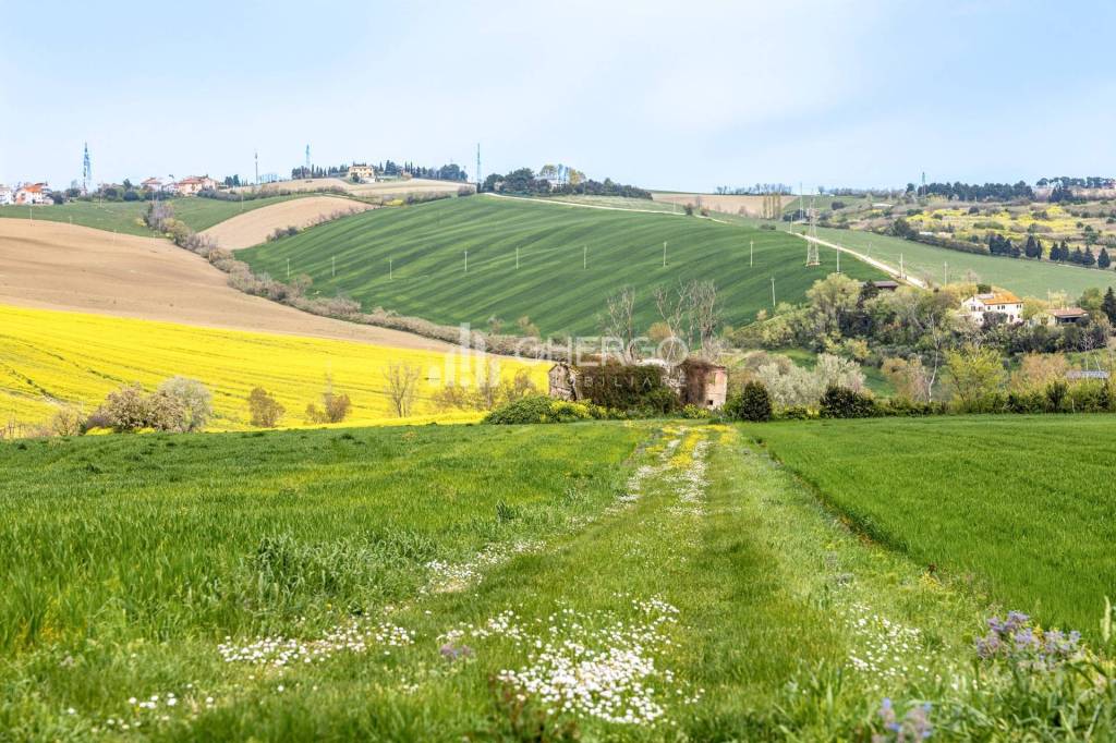 immagine annuncio 6 di 12