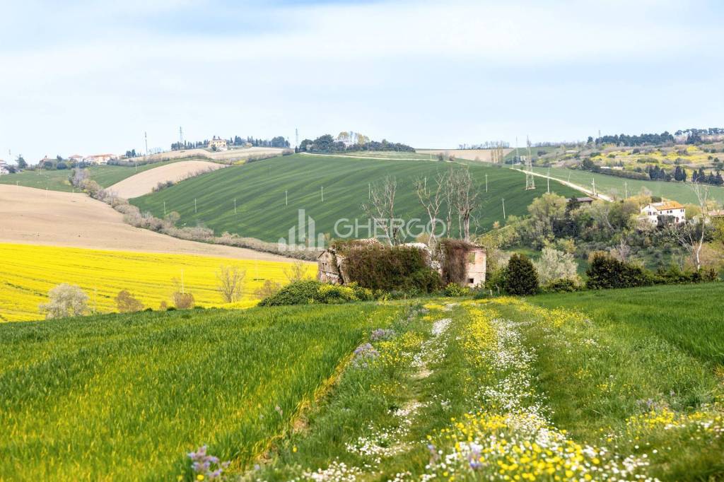 immagine annuncio 7 di 12