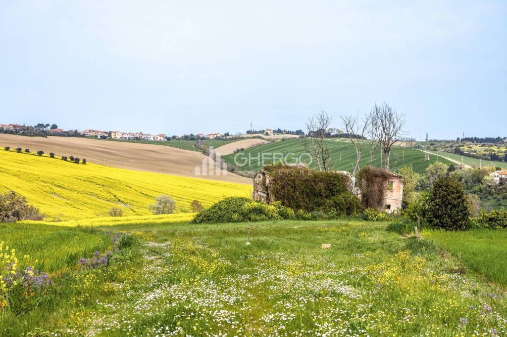 immagine annuncio 8 di 12